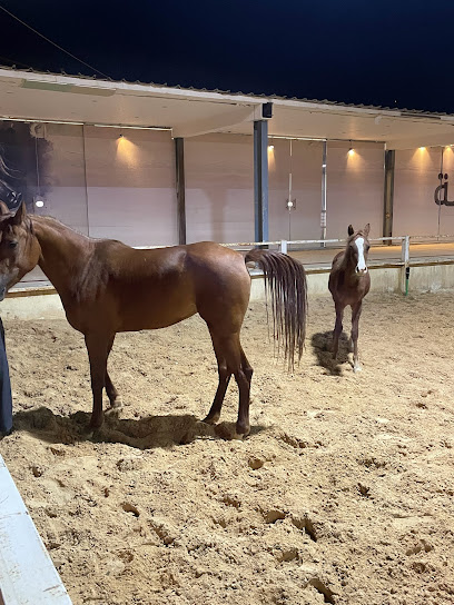 Lazzaz Stable - Saudi Arabia|Riyadh 13363|Banban|2H68+QP6