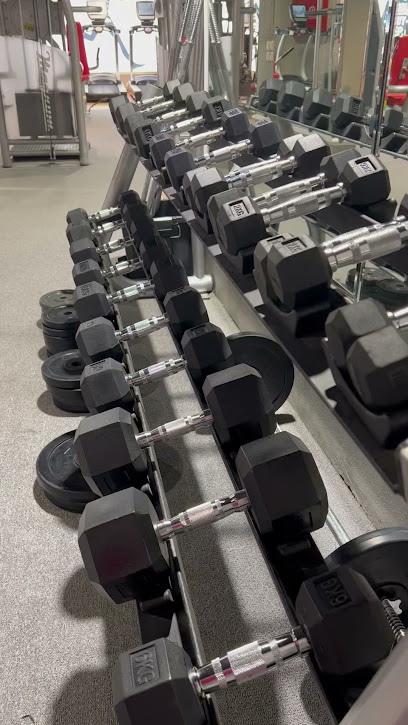 The gym - Saudi Arabia|Sajir 17649|عمر بن عبدالعزيز
