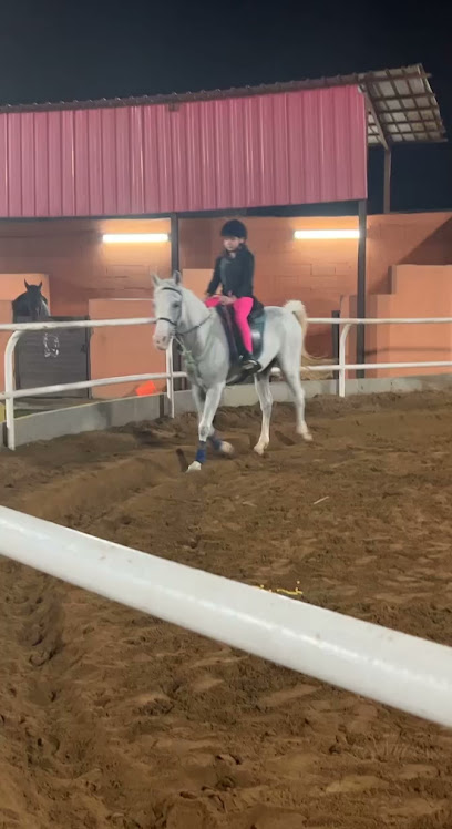 mohra stables - Saudi Arabia|Jeddah 23818|4204